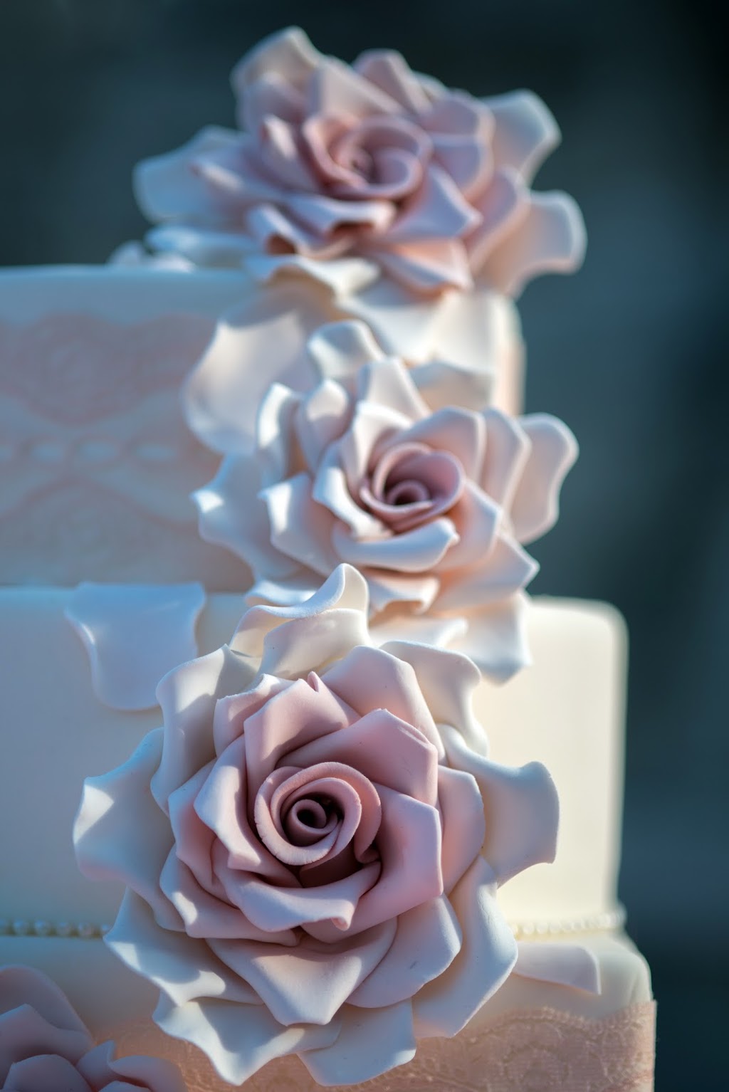 Greg Coman Photography | 10737 Sixth Line, Georgetown, ON L7G 4S6, Canada | Phone: (647) 204-2067