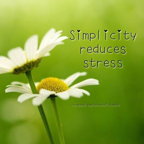 Shutters And Declutter | 130 Lockview Rd, Fall River, NS B2T 1J1, Canada | Phone: (902) 576-5237