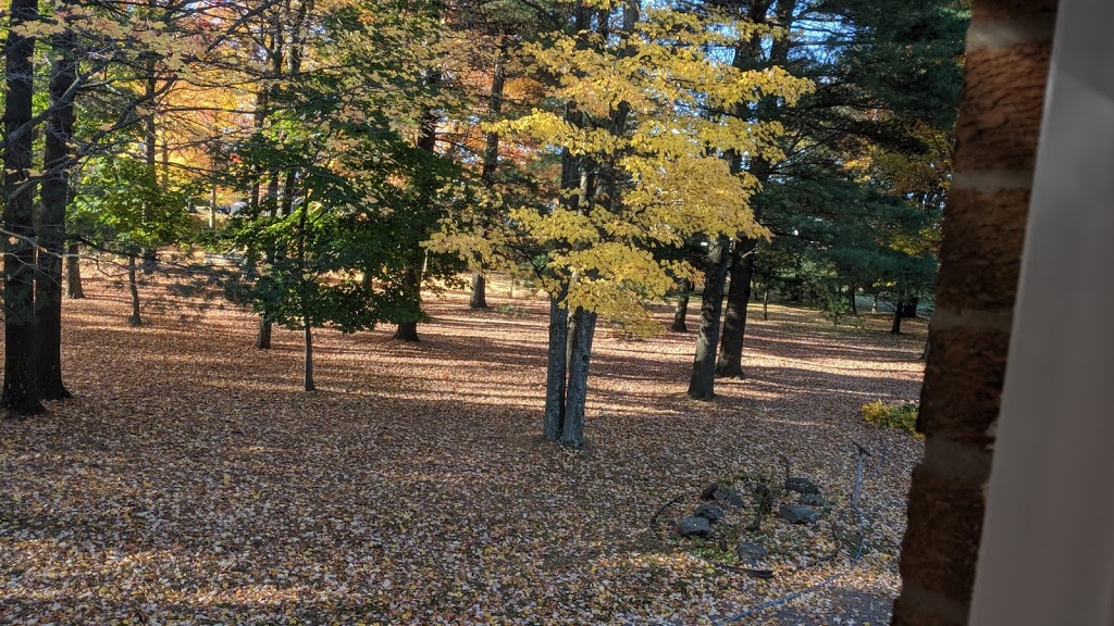 Pères Trinitaires | 200 Boulevard Robert, Granby, QC J2H 0R2, Canada | Phone: (450) 372-5125
