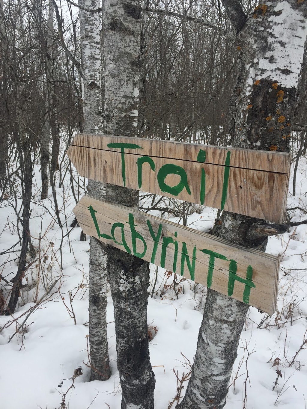 Wild Spirit Prairie Sanctuary | Longlaketon No. 219, SK S0G 1J0, Canada | Phone: (639) 571-1958