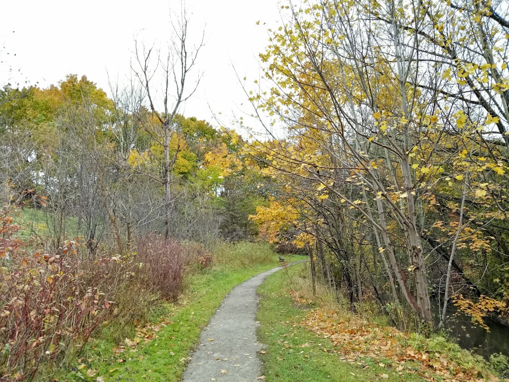 Pomona Mills Park | 244 Henderson Ave, Markham, ON L3T, Canada