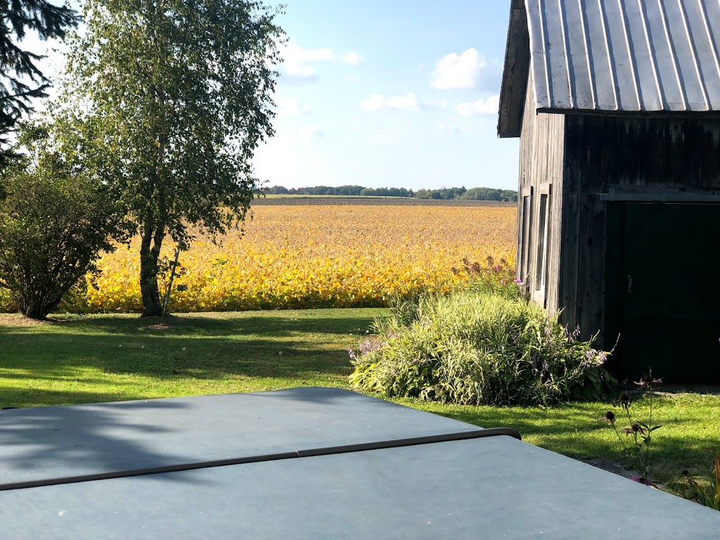 Paul Labonte Enterprises | 504 2e Rang O, Saint-Simon-de-Bagot, QC J0H 1Y0, Canada | Phone: (450) 798-2485