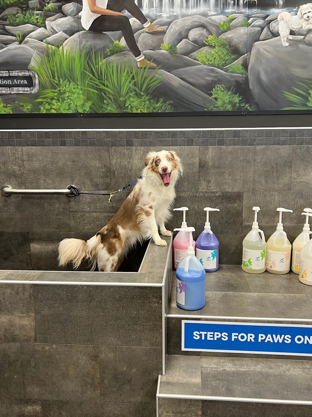 Pet Valu | 325 Main St Unit 3B, Lucan, ON N0M 2J0, Canada | Phone: (519) 227-0669