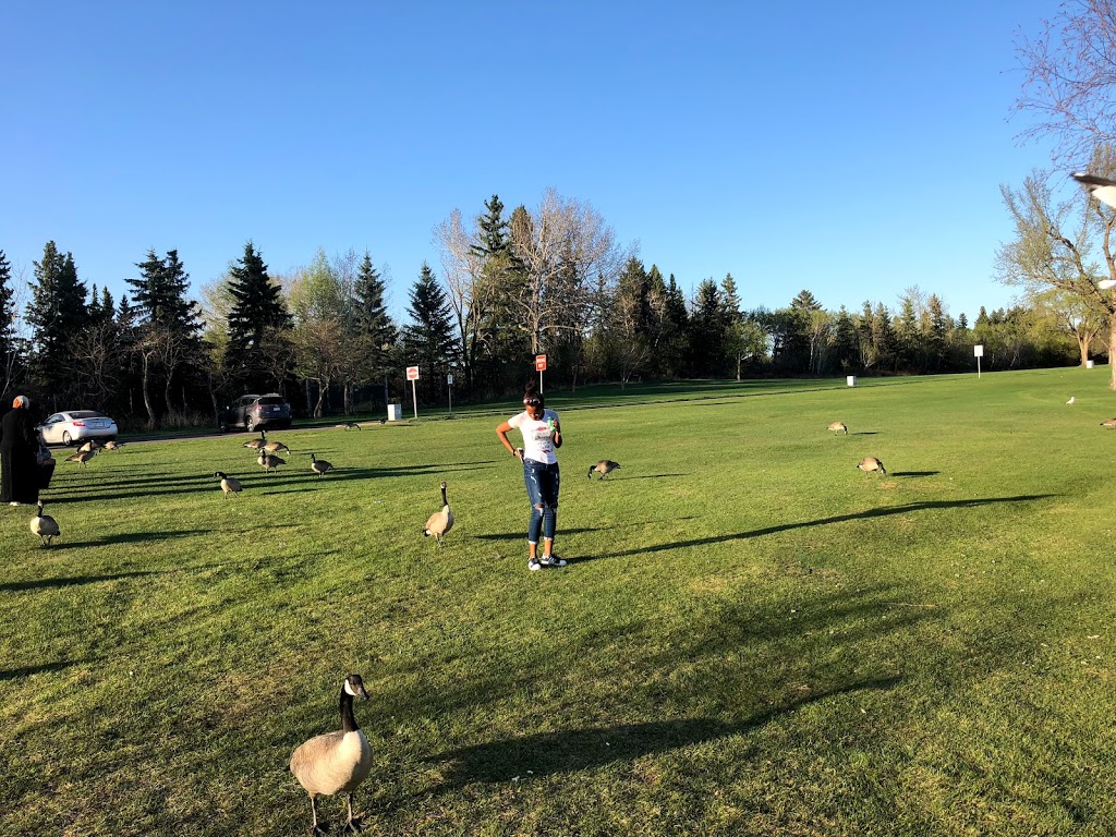 Charles Anderson Park | 3803 105 St, Edmonton, AB T6J 2K6, Canada