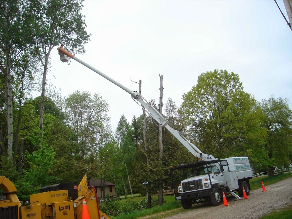 Rays Tree Service | 84 Concession 5 East, Tiny, ON L0L 2T0, Canada | Phone: (705) 322-1556