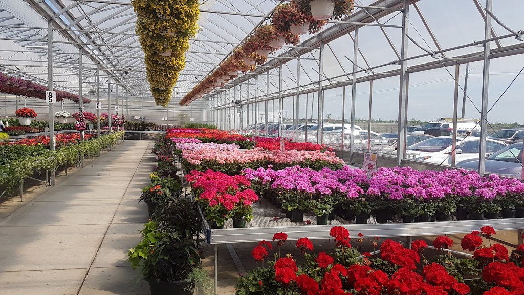 Sumka Brothers Greenhouses (1977) | 328 Peguis St, Winnipeg, MB R3W 1R4, Canada | Phone: (204) 661-9229