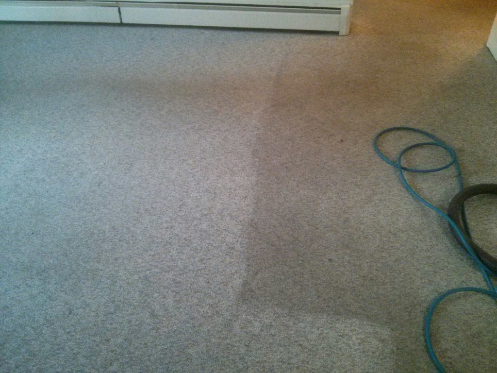Garden City Carpet Cleaning | 2978A Pickford Rd, Victoria, BC V9B 2K7, Canada | Phone: (250) 891-6420