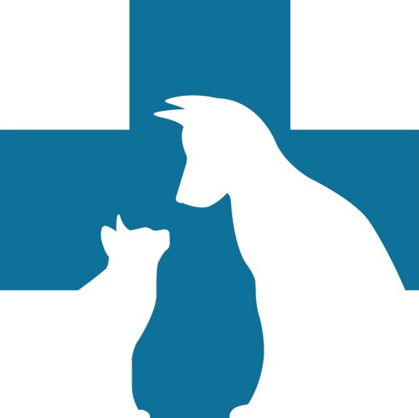 Rossland Animal Hospital | 575 Thornton Rd N, Oshawa, ON L1J 8L5, Canada | Phone: (905) 240-1119