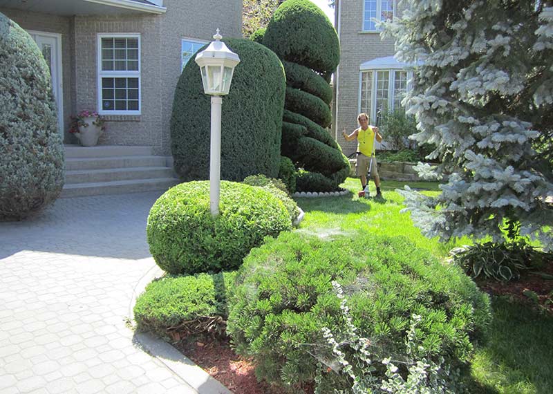 Émondage Goulet | 2831 Rue des Jacinthes, Carignan, QC J3L 5K3, Canada | Phone: (514) 591-9119