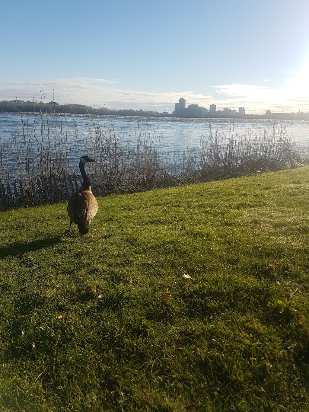 Ottawa River South Shore Riverfront Park | Island Park, Ottawa, ON K1Y, Canada