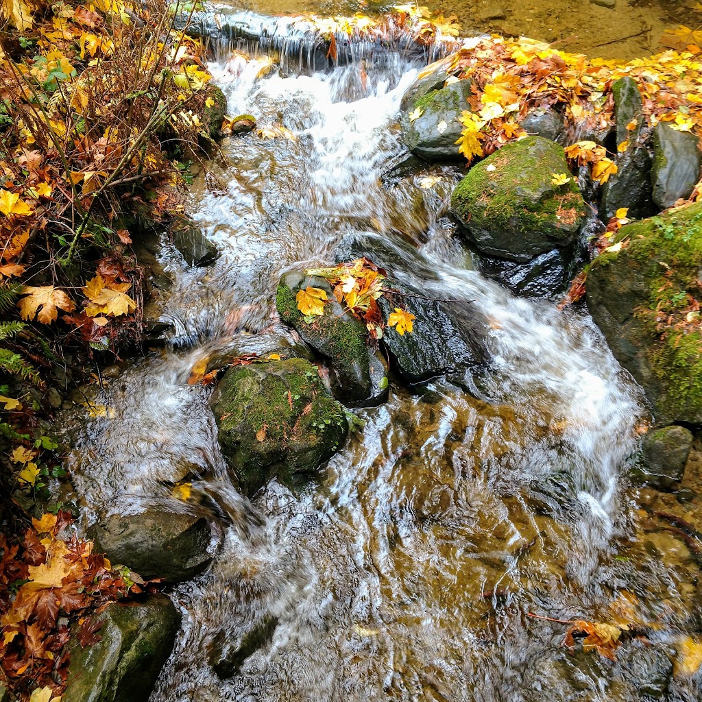North Lake Whatcom Trail | Bellingham, WA 98226, USA | Phone: (360) 778-5850