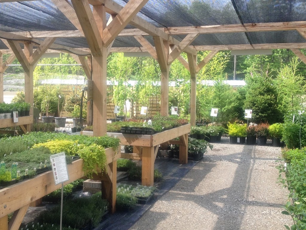 Earth, Stone & Fire Inc. | ON-11, Gravenhurst, ON P1P 1R1, Canada | Phone: (705) 687-4400