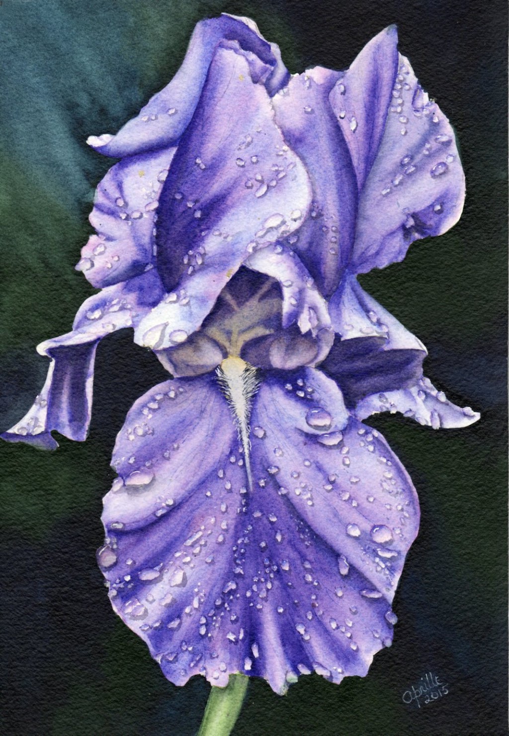 Stony Bay Studio | 11 Seaman St, Margaretsville, NS B0S 1N0, Canada | Phone: (902) 824-1926