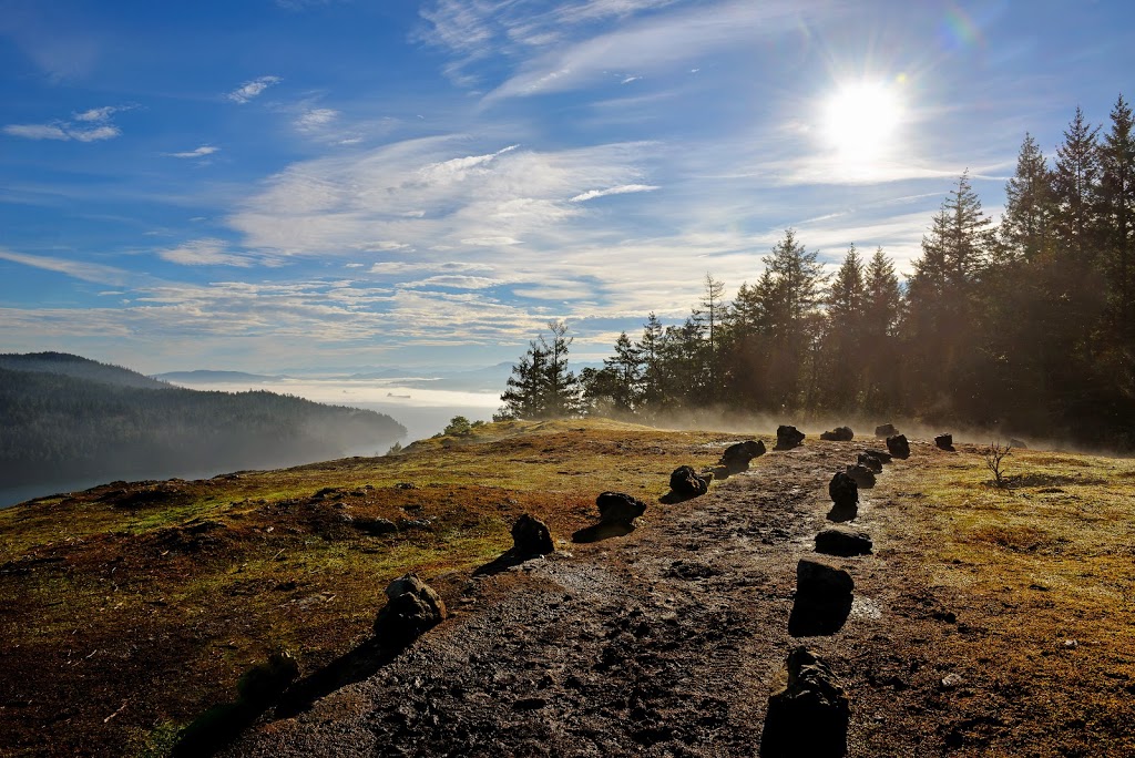 Jennifer Taylor Counselling | 3060 Cedar Hill Rd #200b, Victoria, BC V8T 3J5, Canada | Phone: (250) 510-4168