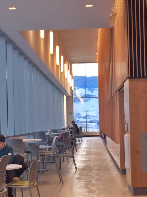 UBC Okanagan Library | 3287 University Way, Kelowna, BC V1V 1V7, Canada | Phone: (250) 807-9107