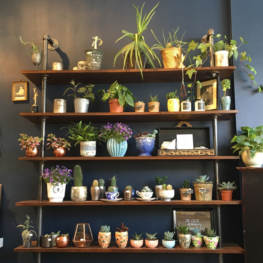 R & G Coffee | 1541 Dundas St W, Toronto, ON M6K 1T6, Canada