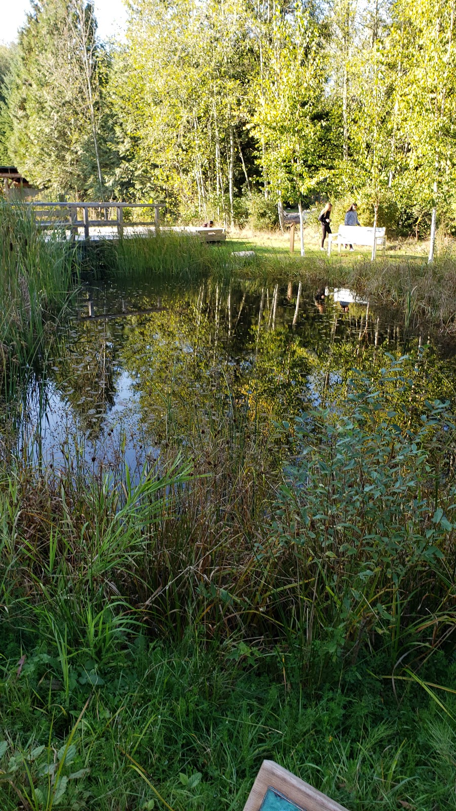 Sunshine Coast Botanical Garden Society | 5941 Mason Rd, Sechelt, BC V0N 3A8, Canada | Phone: (604) 740-3969