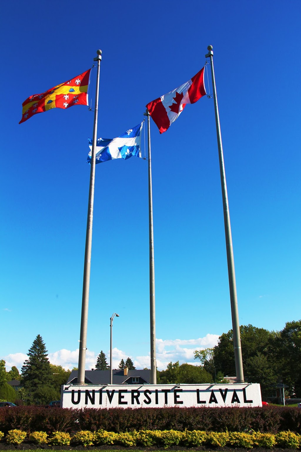 Laval University | 2325 Rue de lUniversité, Québec, QC G1V 0A6, Canada | Phone: (418) 656-2131