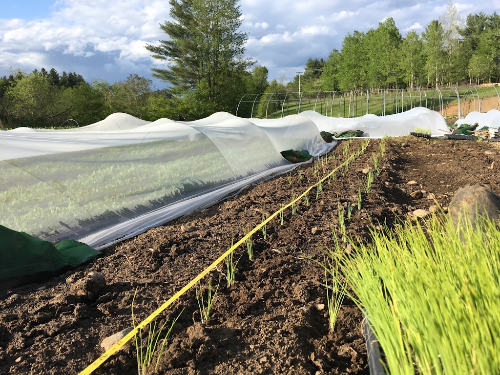 Les Jardins Bolton | 2 Rue Terrio, Bolton-Est, QC J0E 1G0, Canada | Phone: (514) 265-5354