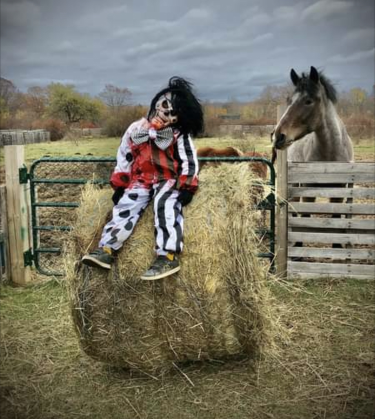 FairyTail Fields | 1050 Maple St, Waterville, NS B0P 1V0, Canada | Phone: (902) 599-1882