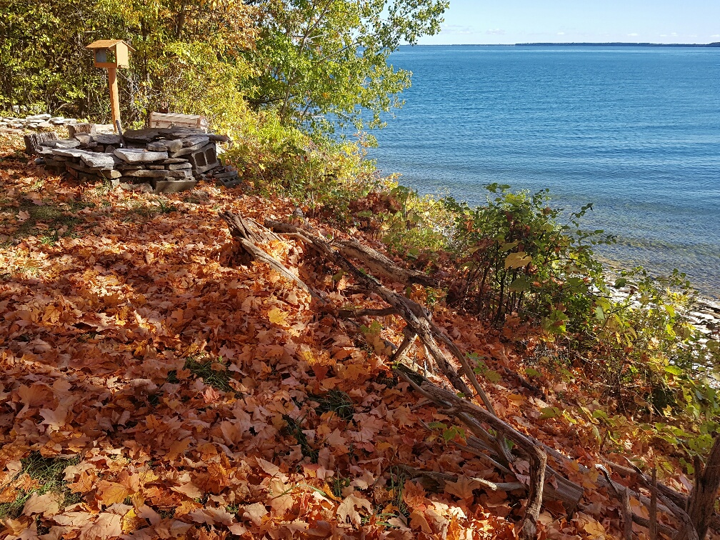 Sutton Group-Prince Edward County Realty Inc. Brokerage | 8 Barker St, Picton, ON K0K 2T0, Canada | Phone: (613) 476-7800