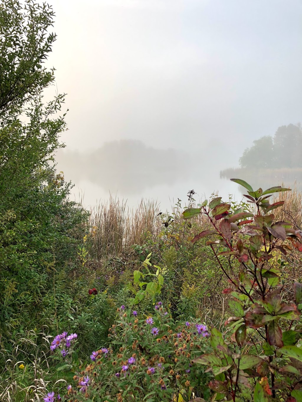 RESERVOIR/CONSERVATION AREA | Whitchurch-Stouffville, ON L0G, Canada