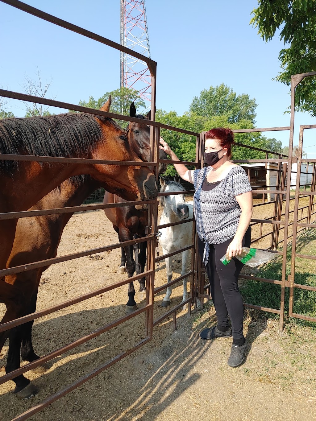 Grand Oak Meadows Stables | 1237 McCreary Rd, Winnipeg, MB R3P 0M6, Canada | Phone: (204) 250-7722