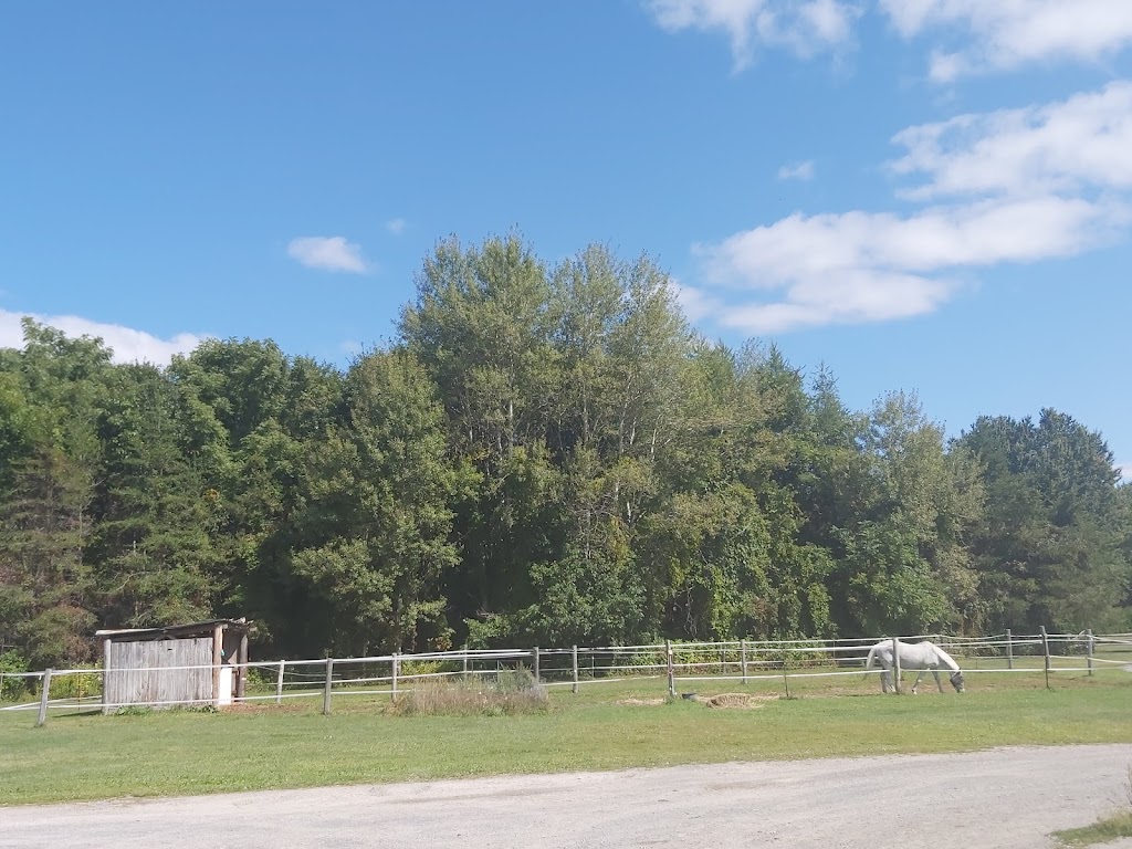 Green Glen Farm Inc | 3536 Hunt Line Rd, Kinburn, ON K0A 2H0, Canada | Phone: (613) 623-4289