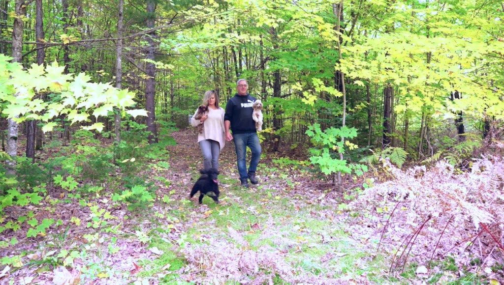 Almaguin Poodles | Peggs Mountain Rd, Burks Falls, ON P0A 1C0, Canada | Phone: (705) 380-5040