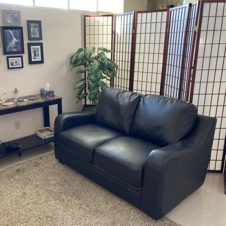 Chinook Pet Clinic | 487 41 St S, Lethbridge, AB T1J 5C8, Canada | Phone: (403) 327-2344
