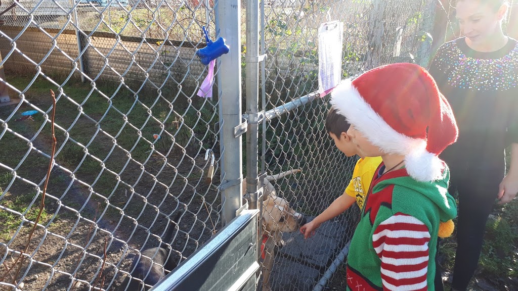 BC SPCA Abbotsford Community Animal Centre | 34312 Industrial Way, Abbotsford, BC V2S 7M6, Canada | Phone: (604) 850-1584