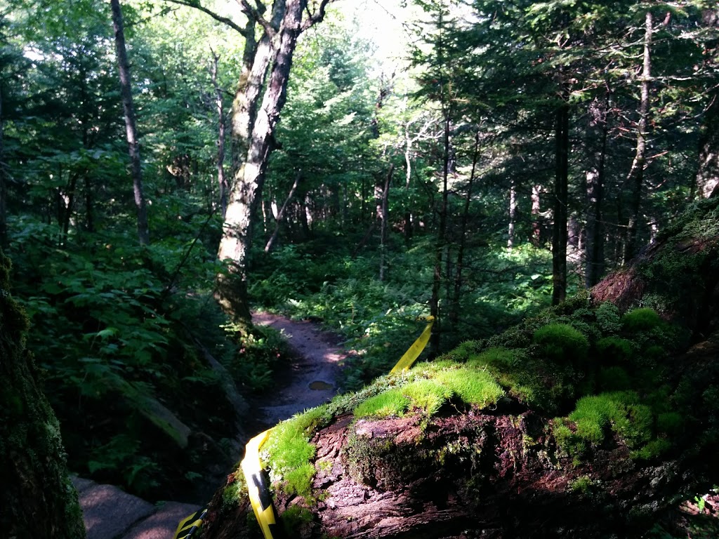 Sentiers du Moulin | 99 Chemin du Moulin, Lac-Beauport, QC G3B 0E1, Canada | Phone: (418) 849-9652