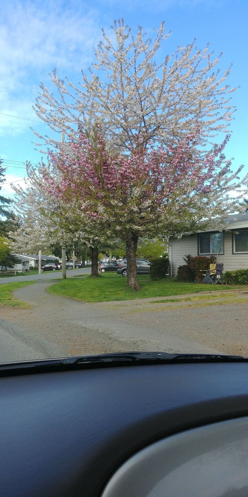 Harbour Wood Park | Aitken St, Comox, BC V9M 1H3, Canada | Phone: (250) 339-9805