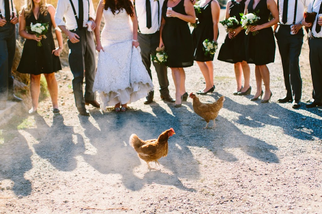 Sweet Heirloom Photography | Nagle St, Duncan, BC V9L 2E5, Canada | Phone: (604) 312-5392