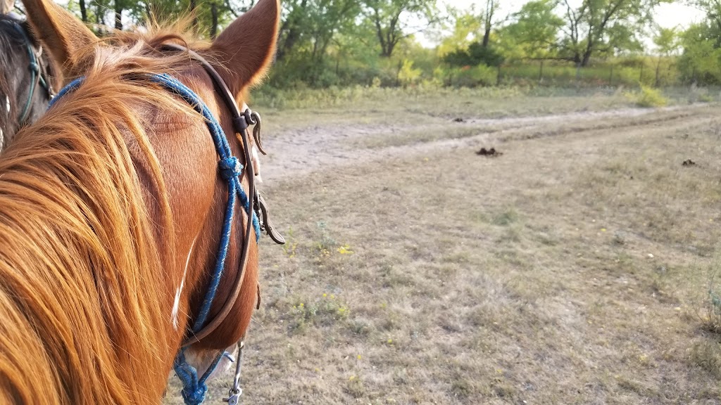 Miracle Ranch | 65083 Rd 22 E, Winnipeg, MB R5R 0K1, Canada | Phone: (204) 224-1180