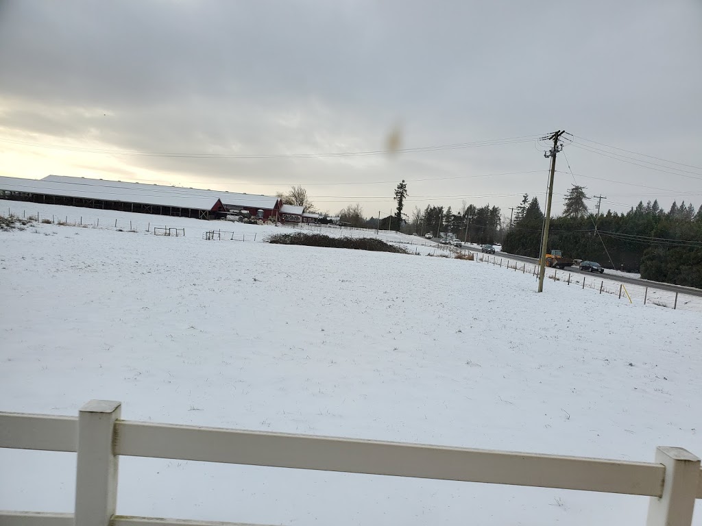 Bradner Farms | 28670 58 Ave, Abbotsford, BC V4X 2E8, Canada | Phone: (604) 856-1227