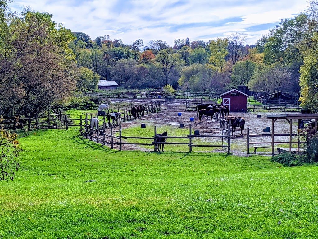 Circle R Ranch | 3017 Carriage Rd, Delaware, ON N0L 1E0, Canada | Phone: (519) 471-3799