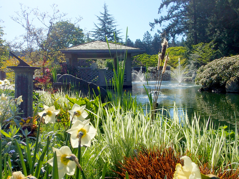 First Memorial Funeral Services | 4725 Falaise Dr, Victoria, BC V8Y 1B4, Canada | Phone: (250) 658-5244