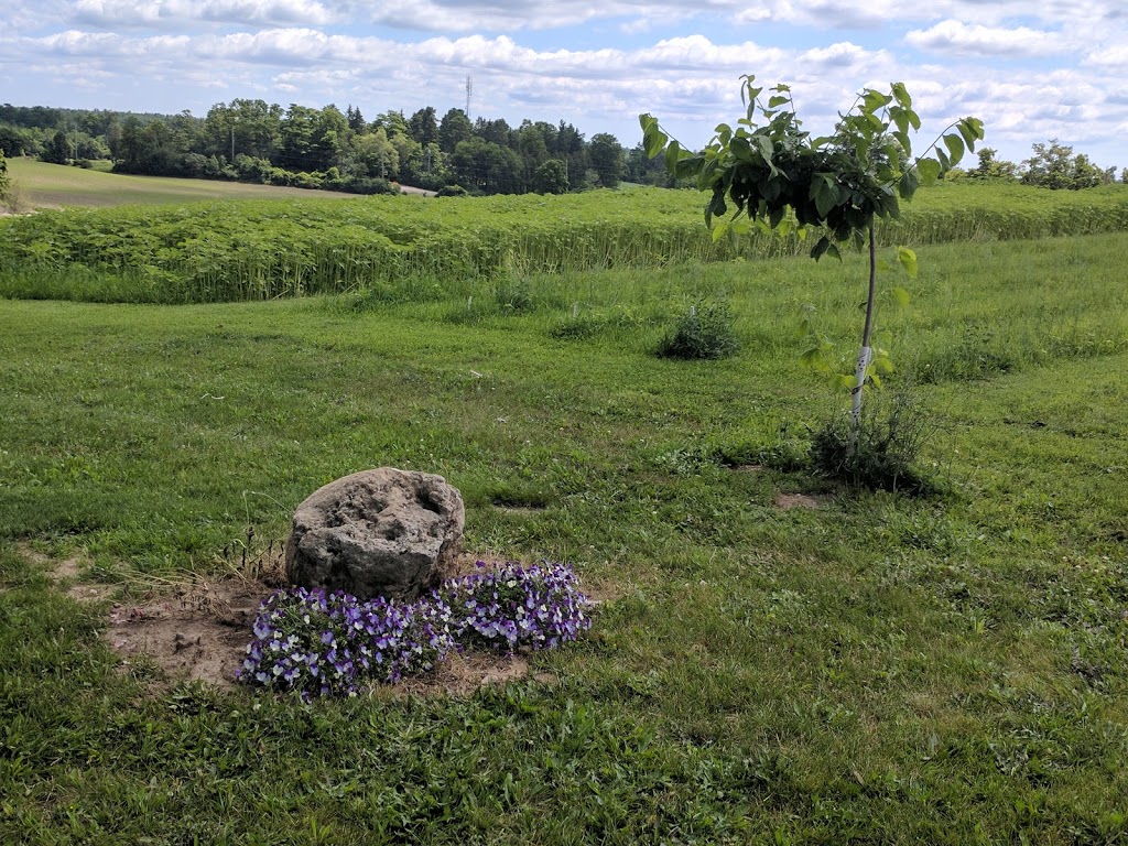 Martins Sweet Farm | 2423 20 Side Rd, Campbellville, ON L0P 1B0, Canada | Phone: (519) 820-8649