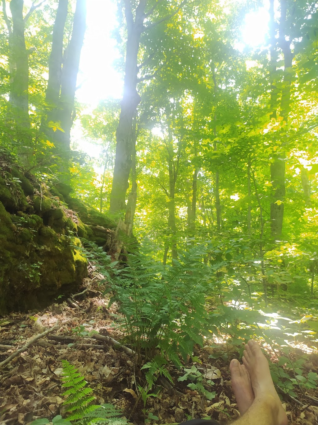 Hope Bay Forest Provincial Park | Lions Head, ON N0H 1W0, Canada | Phone: (519) 389-9056