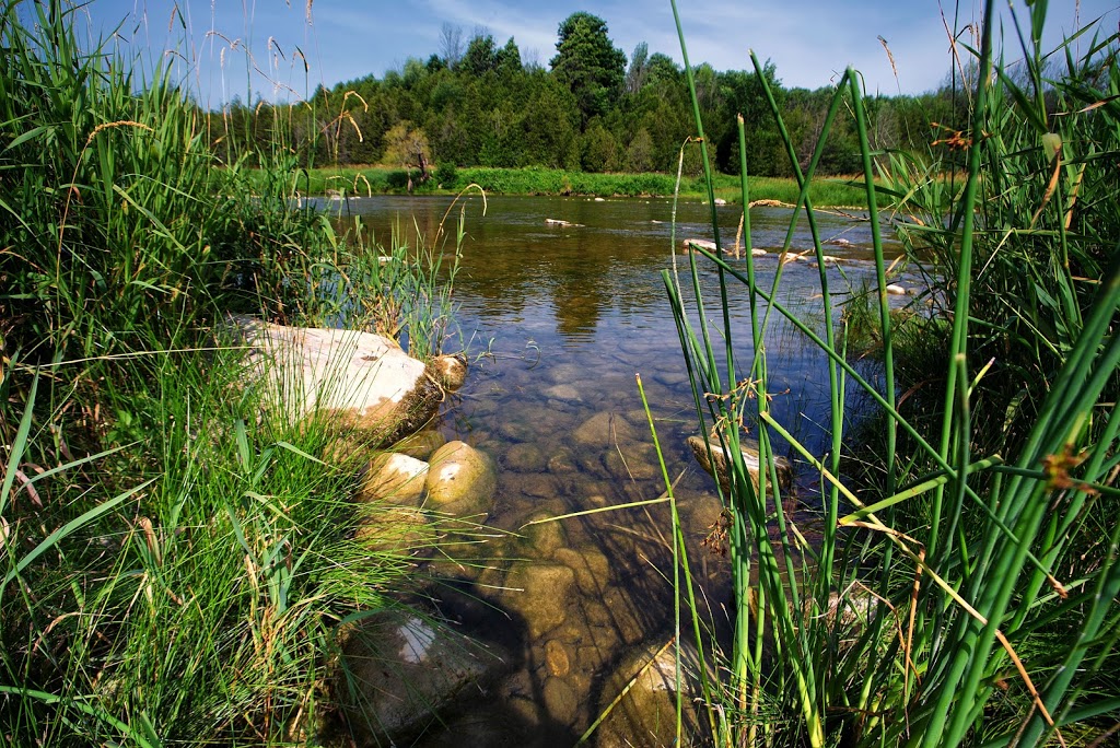 Wawanosh Valley Conservation Education Centre | 38854 Nature Centre, Blyth, ON N0M 1H0, Canada | Phone: (519) 523-4788