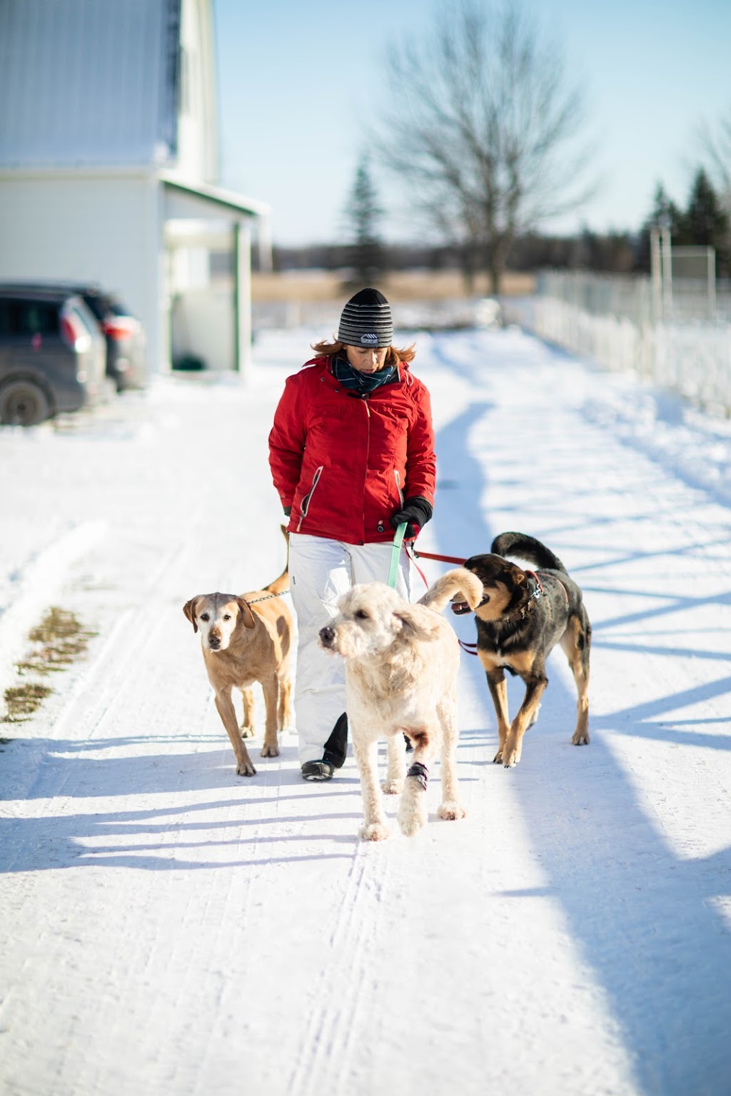 Centre Canin Laka | 494 Chemin Bella-Vista, Saint-Basile-le-Grand, QC J3N 1M4, Canada | Phone: (450) 653-5150