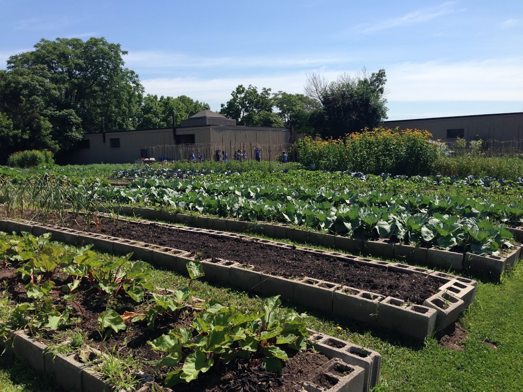Cancord Victory Garden, Hamilton Victory Gardens | 330 Mary St, Hamilton, ON L8L 3G3, Canada | Phone: (905) 921-5918