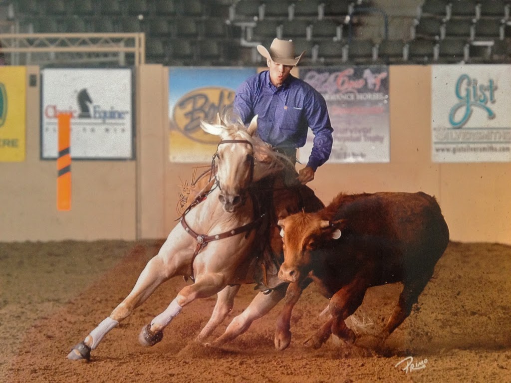 Cayley Wilson Performance Horses, Inc. | 1280 Powerhouse Rd, Abbotsford, BC V3G 1T7, Canada | Phone: (604) 300-0401