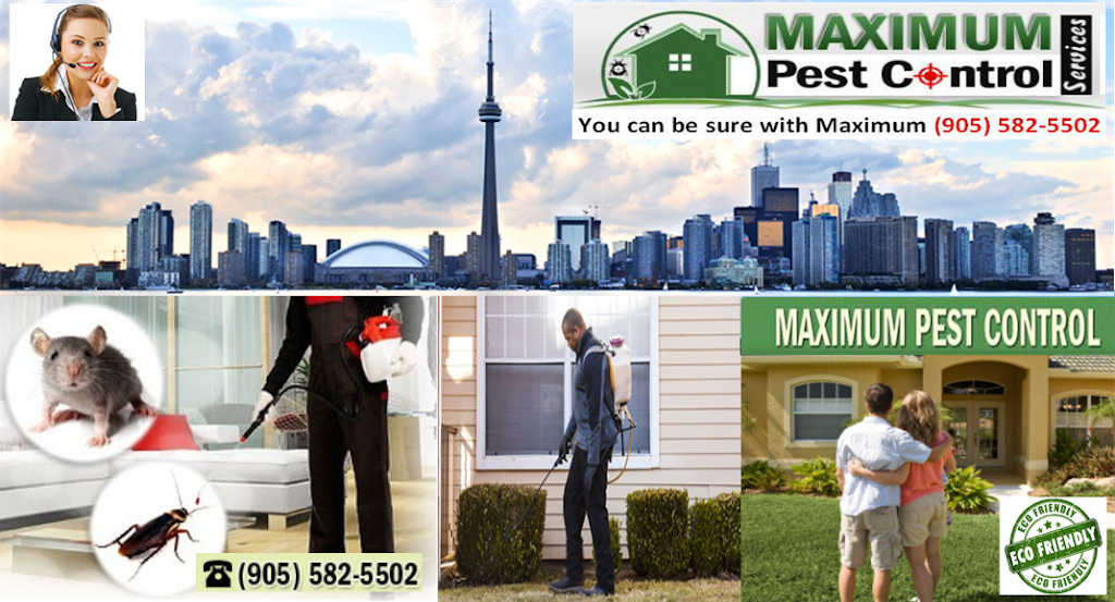 Maximum Pest Control Services | 1860 Appleby Line Suite 430, Burlington, ON L7L 7H7, Canada | Phone: (905) 582-5502