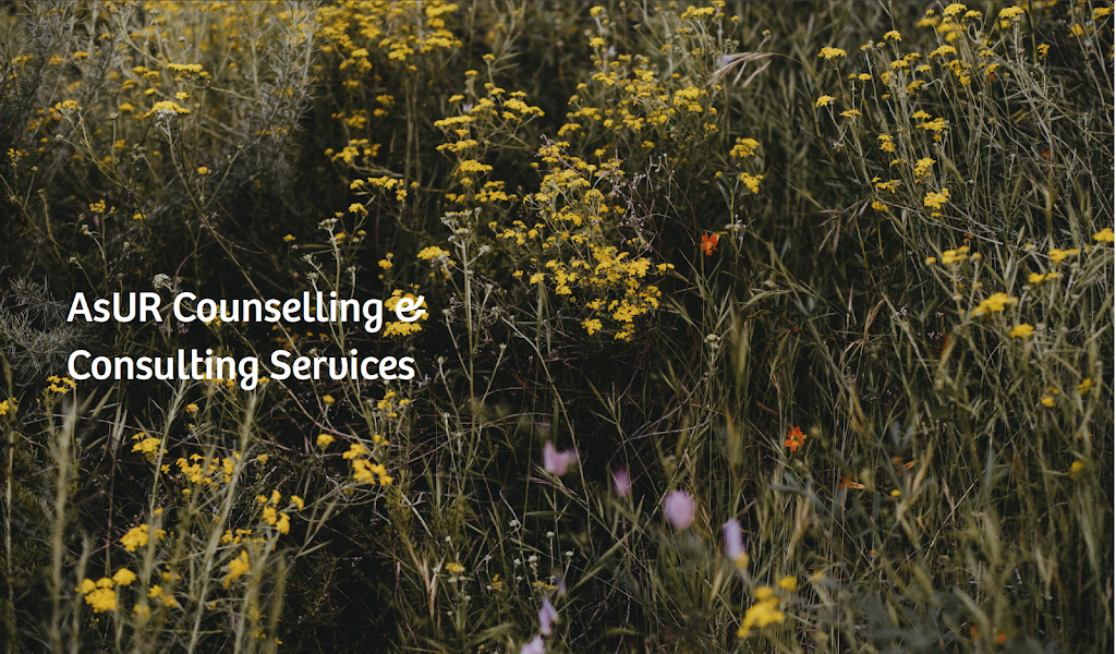 AsUR Counselling and Consulting Services | health | 145 Chadwick Ct Unit 220, North Vancouver, BC V7M 3K2, Canada | 7782466777 OR +1 778-246-6777