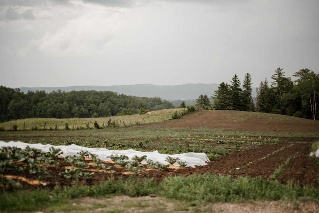 Ferme Thuya | 36 Chem. Kelly, Low, QC J0X 2C0, Canada | Phone: (613) 402-0376
