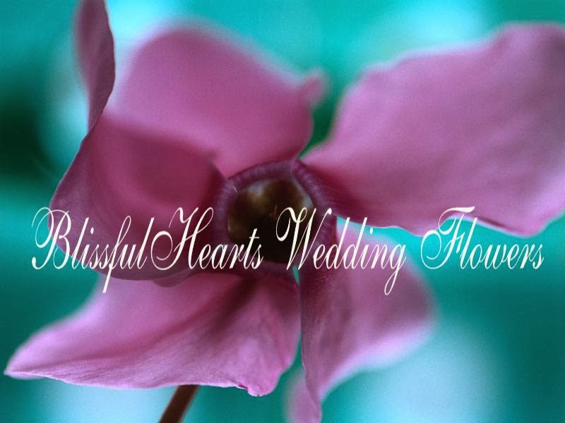 Blissful Hearts Wedding Flowers | 12723 248 St, Maple Ridge, BC V4R 1K4, Canada | Phone: (604) 613-0676