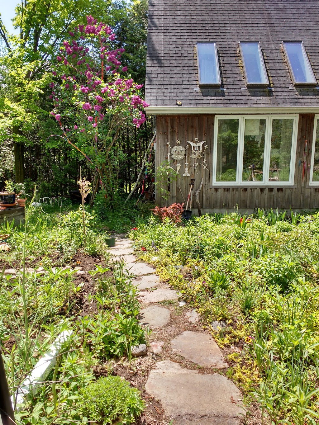 Lynne McIlvride | 14260 Marsh Hill Rd, Port Perry, ON L9L 1Z2, Canada | Phone: (416) 937-2829