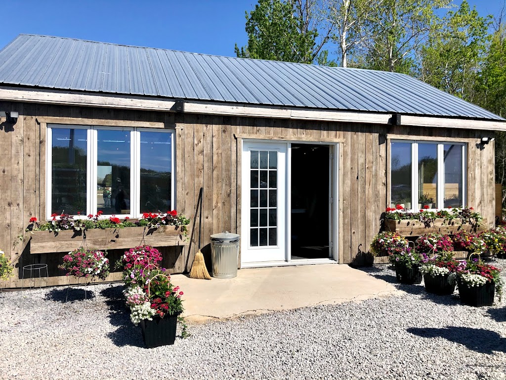 LAVOIE Fleurs et Jardins | 555 Av. des Bois, Laval, QC H7R 6E7, Canada | Phone: (514) 796-4043